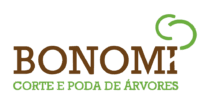 logo bonomi